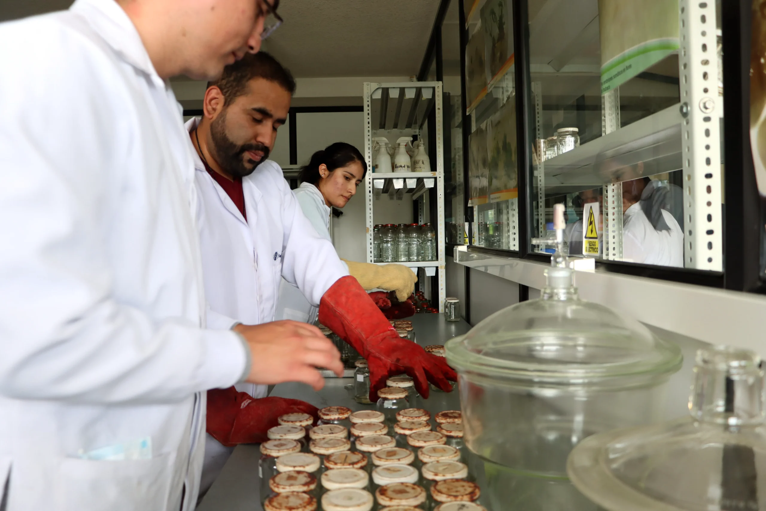 Biotecnologia 3 scaled