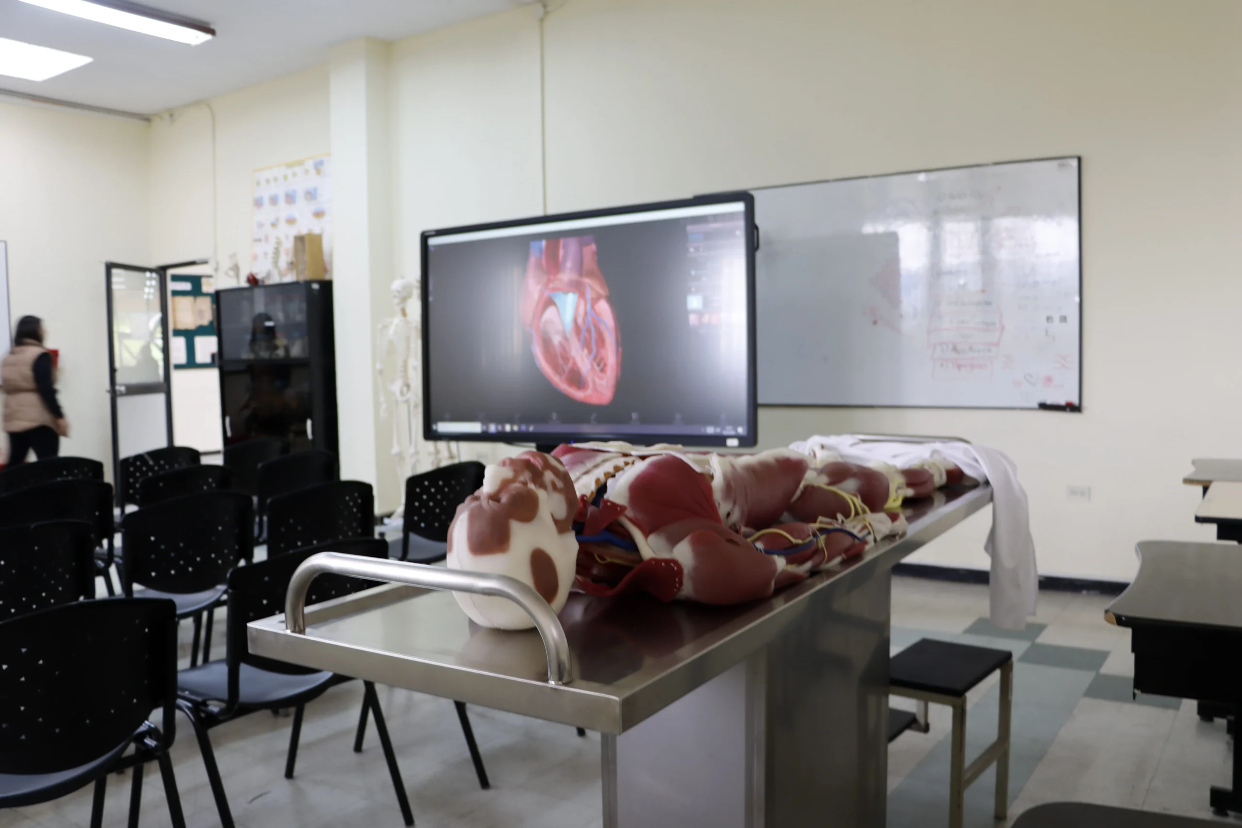 Medicina 1 scaled