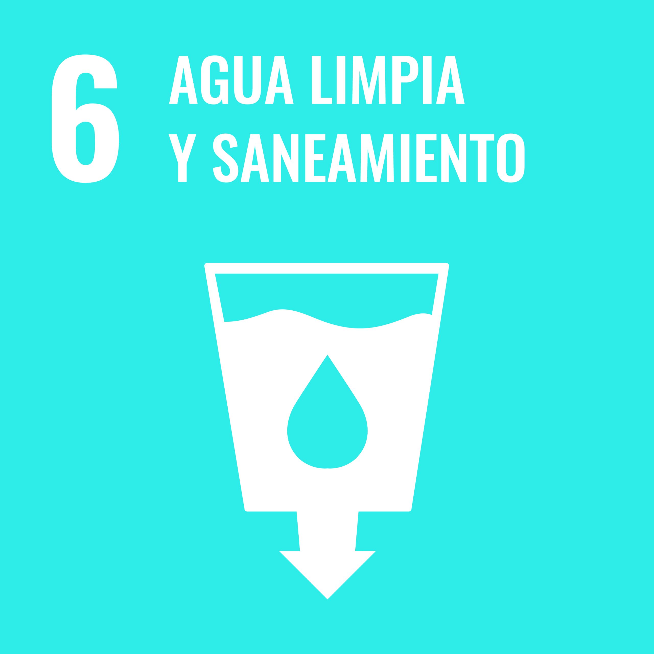 S SDG PRINT 06