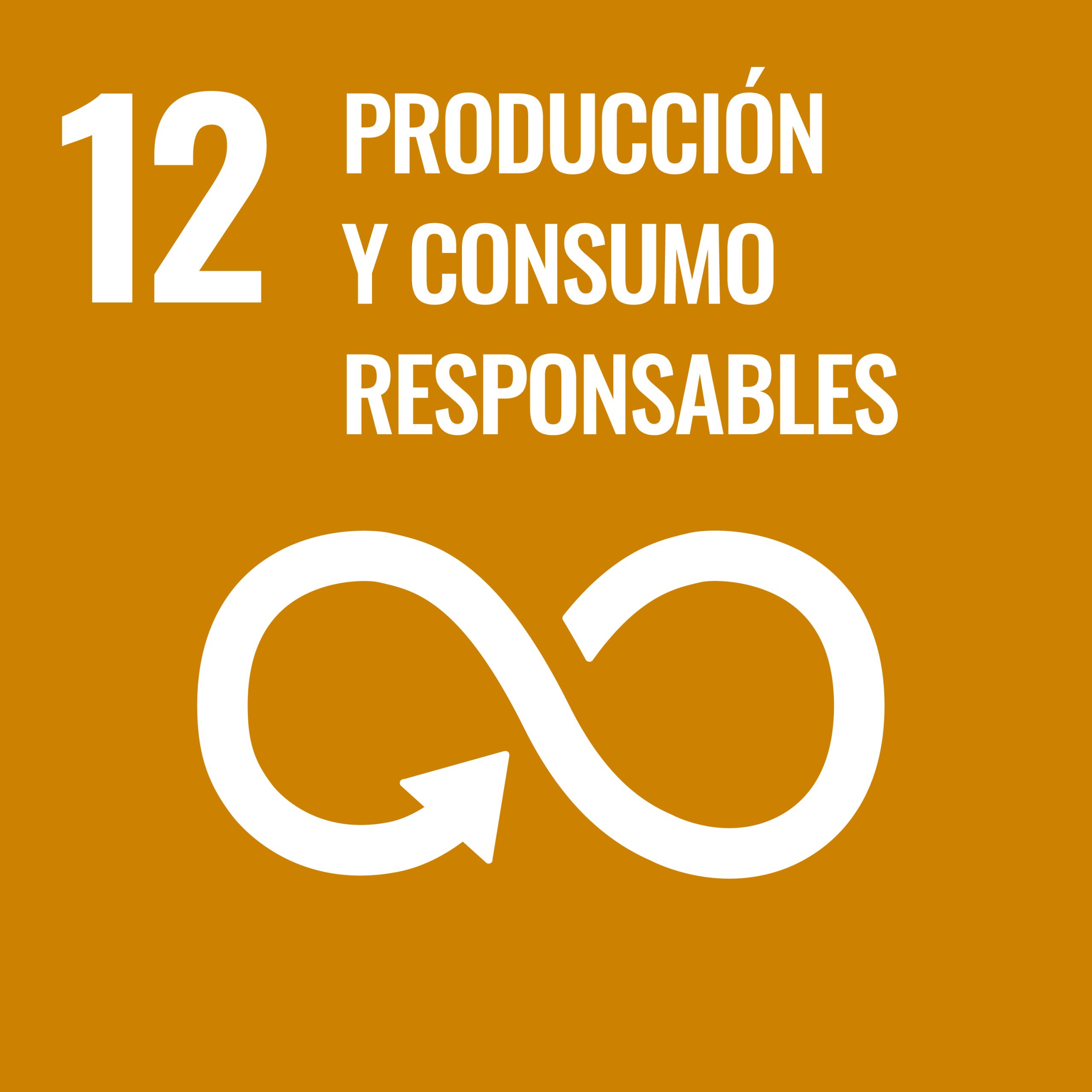 S SDG PRINT 12