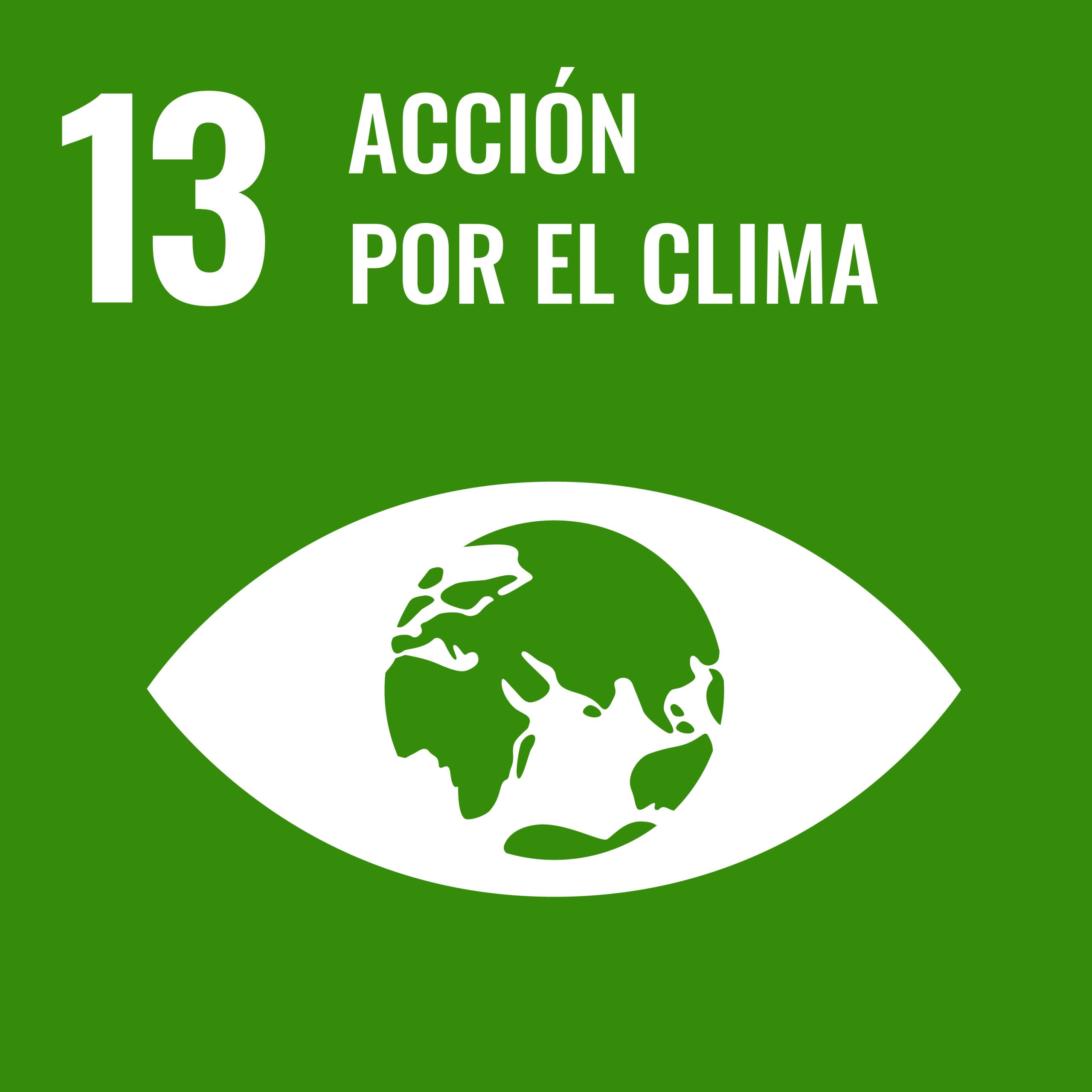 S SDG PRINT 13