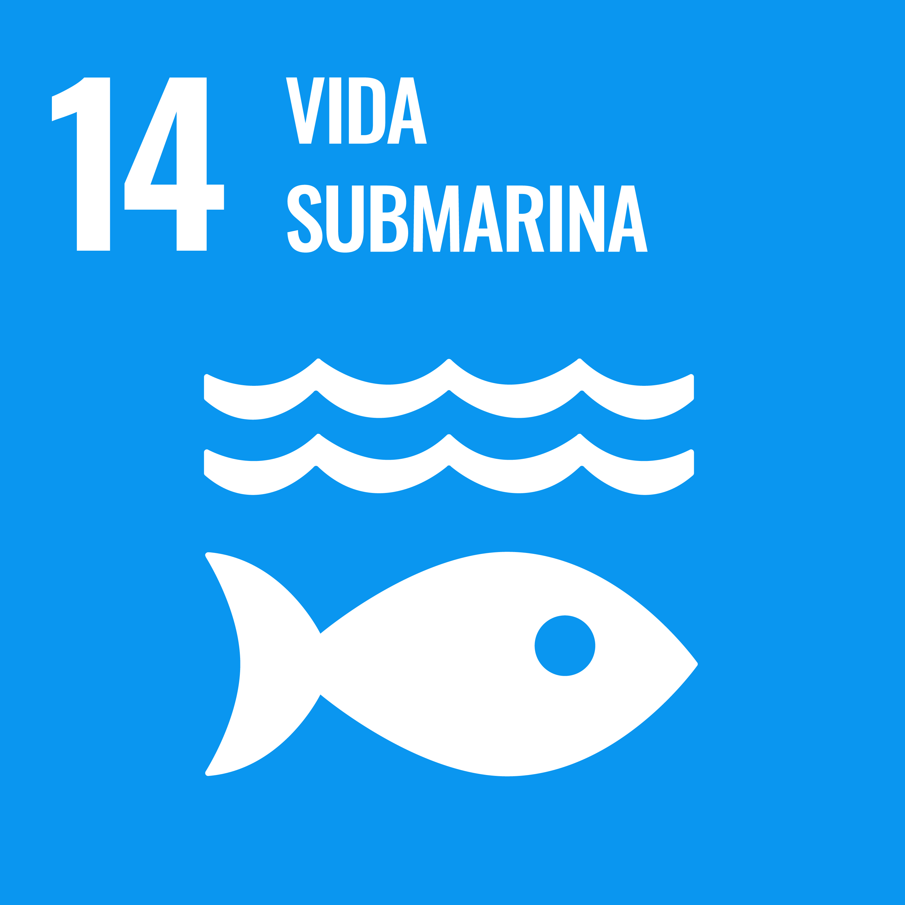 S SDG PRINT 14