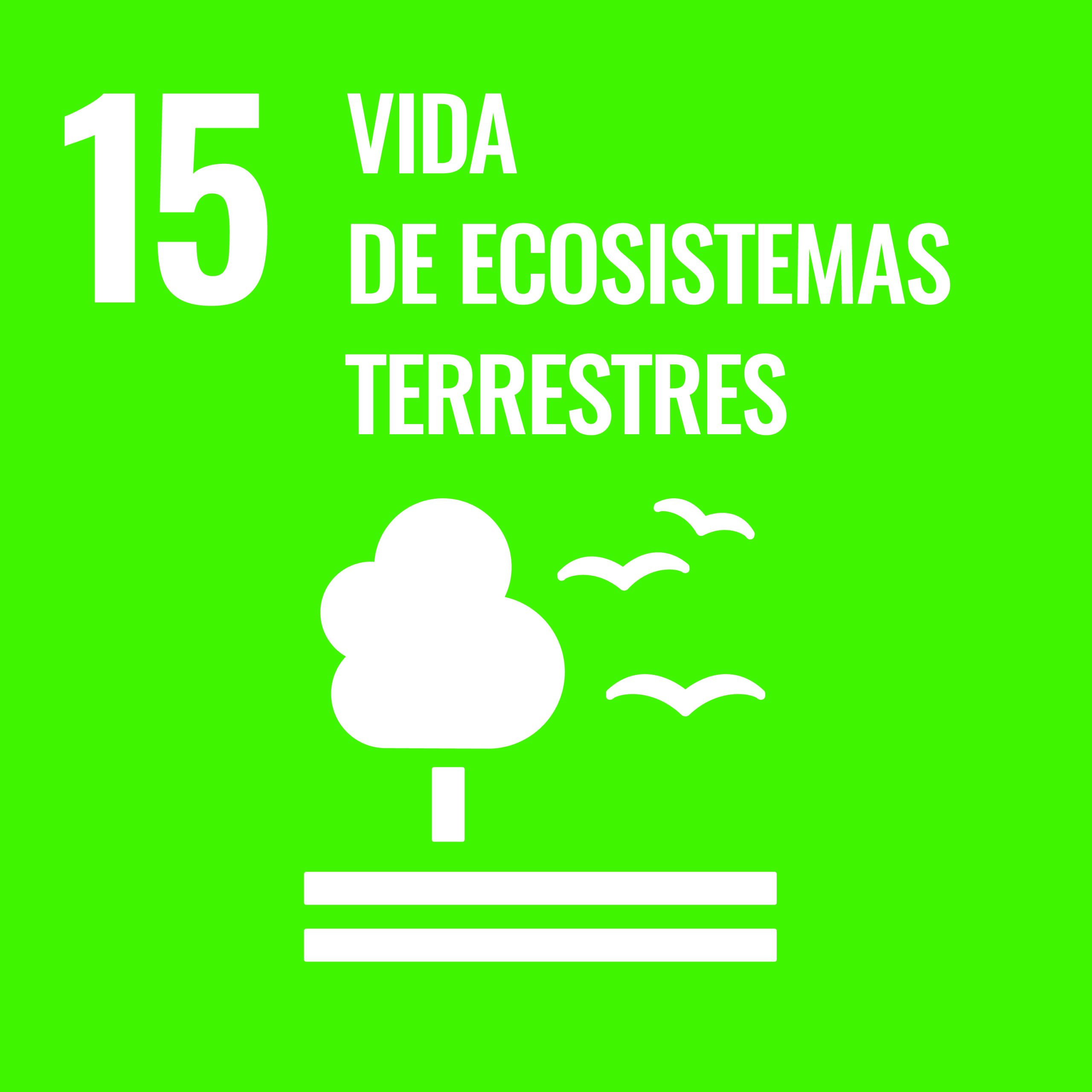 S SDG PRINT 15