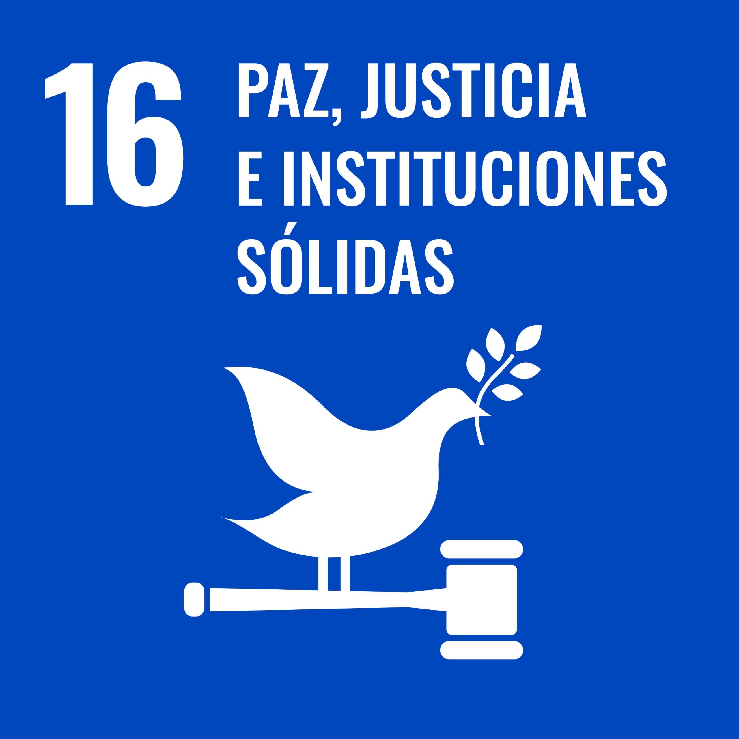 S SDG PRINT 16