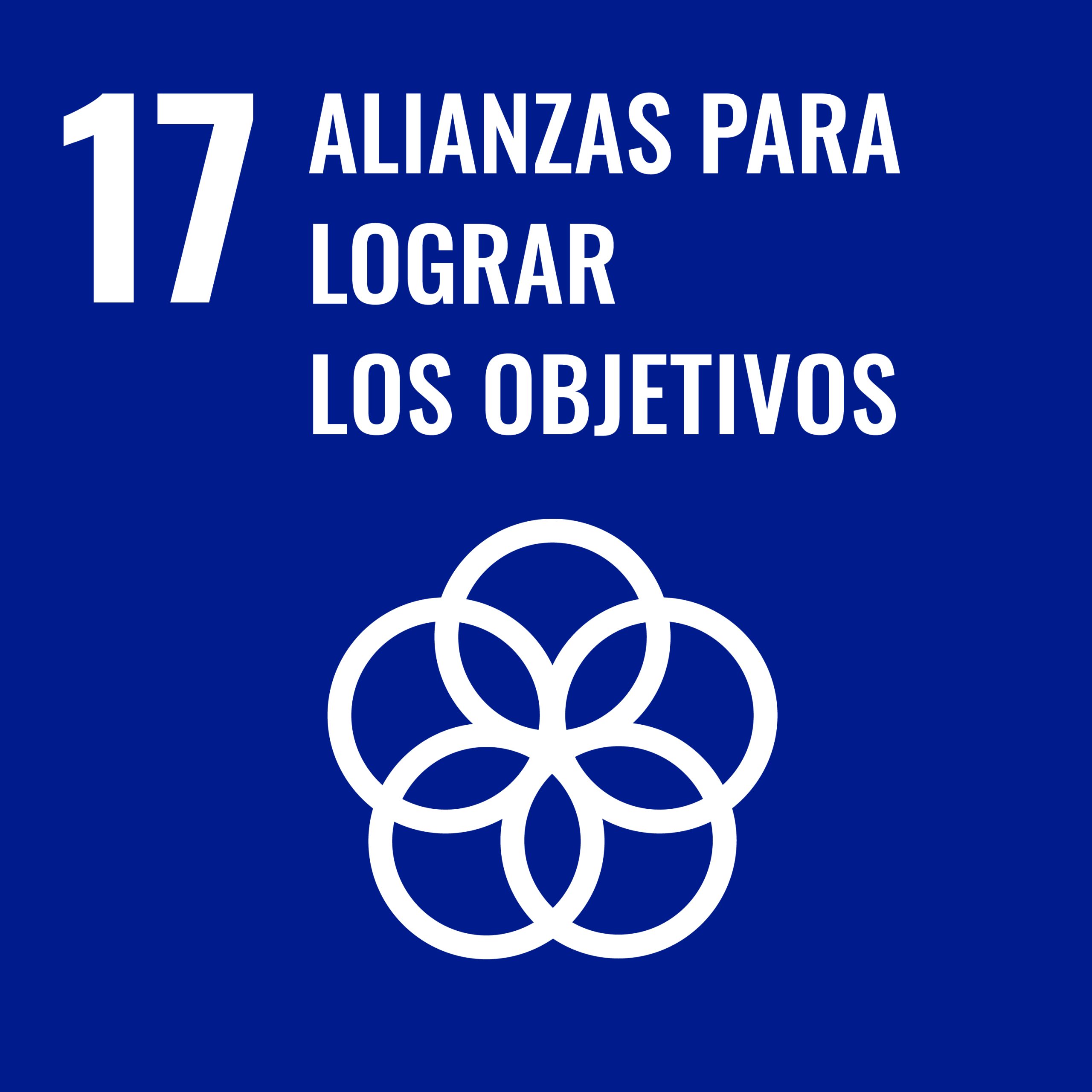 S SDG PRINT 17