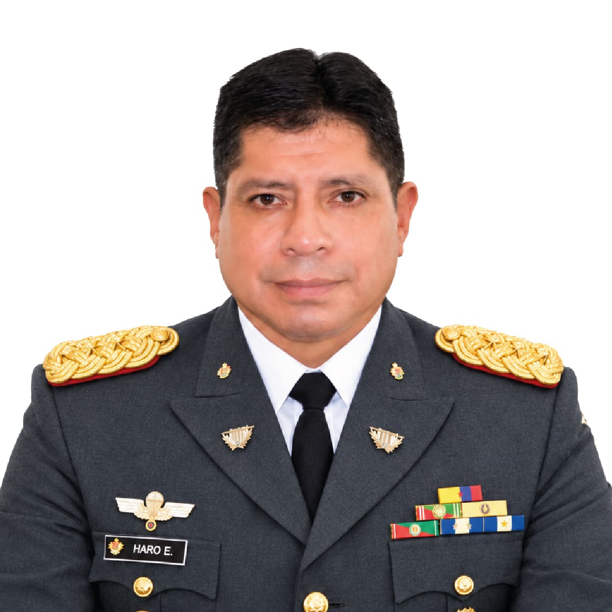 V academico