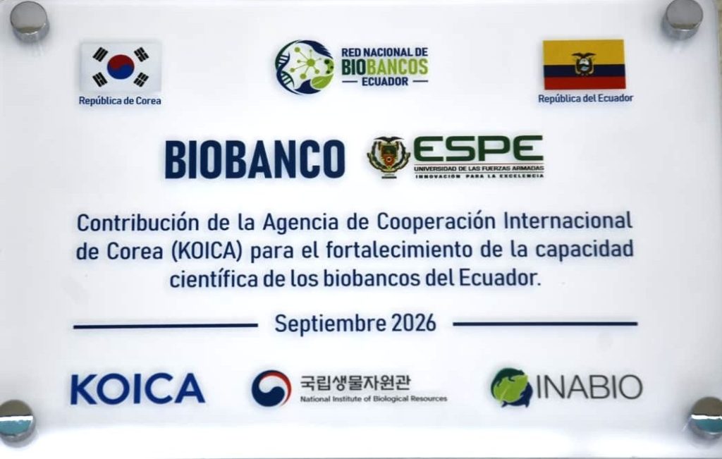 alianza koica